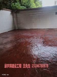 邻水牟家中学校区压印地坪工程案例如下